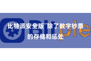 比特派安全版 除了数字钞票的存储和惩处