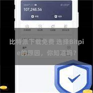 比特派下载免费 选择Bitpie的原因，你知道吗？