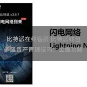 比特派在线客服 比特派钱包多链资产管理技巧：全面攻略