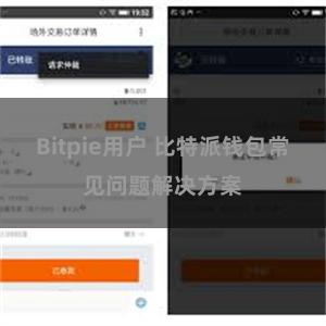 Bitpie用户 比特派钱包常见问题解决方案