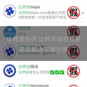 比特派私钥 比特派钱包交易延迟解决方案分享