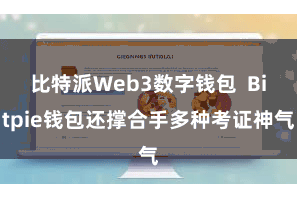 比特派Web3数字钱包  Bitpie钱包还撑合手多种考证神气