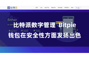 比特派数字管理  Bitpie钱包在安全性方面发扬出色