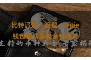 比特派账户管理  Bitpie钱包扶助多链金钱措置